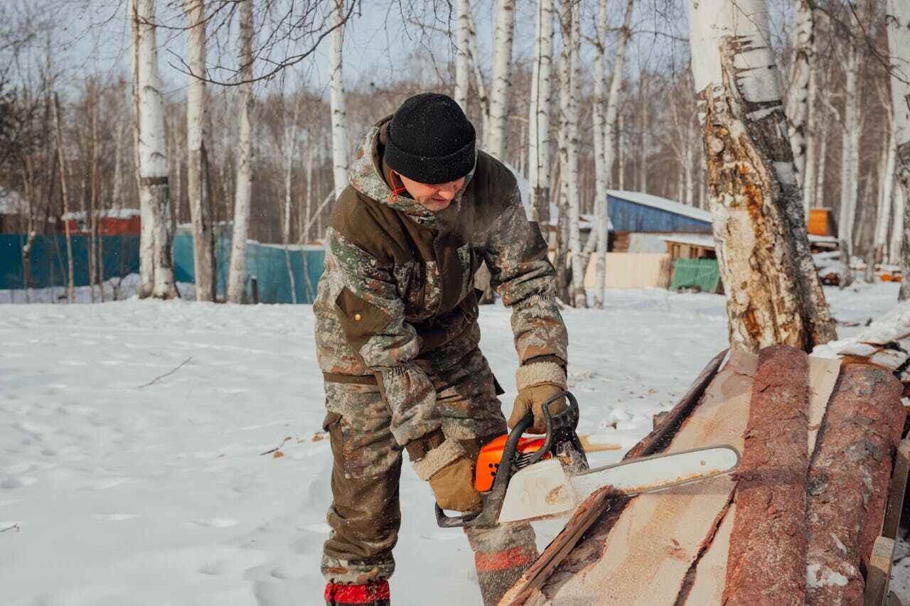 Best Tree Removal Near Me  in Cocoa, FL